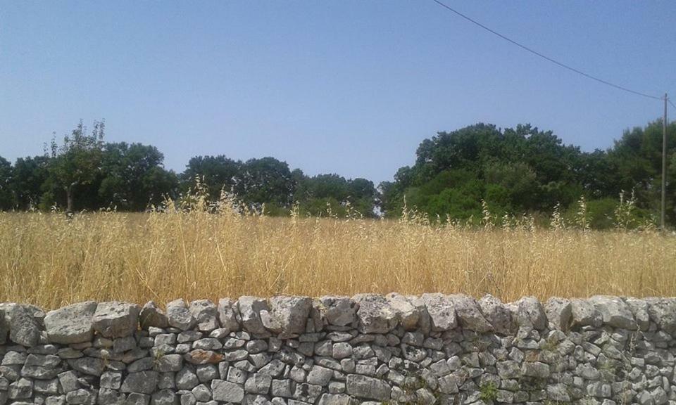 Trullo Le Tre Sorelle Чистернино Экстерьер фото